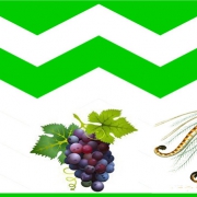VVWestland-header